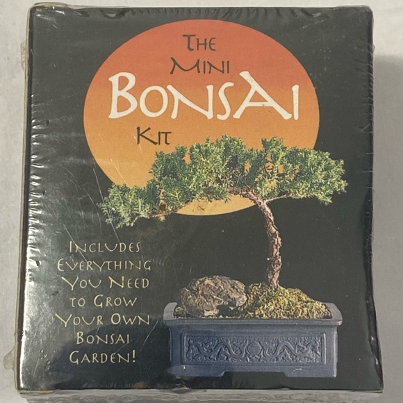 The Mini Bonsai Tree Kit - Picture 1 of 6